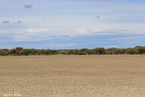Central Kalahari Game Reserve